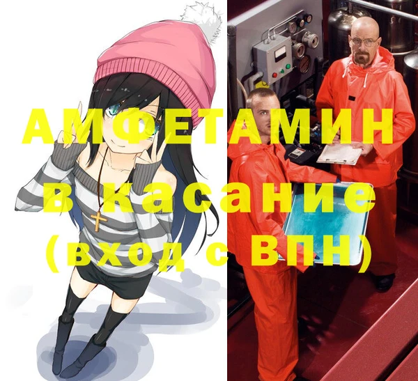 шишки Бронницы